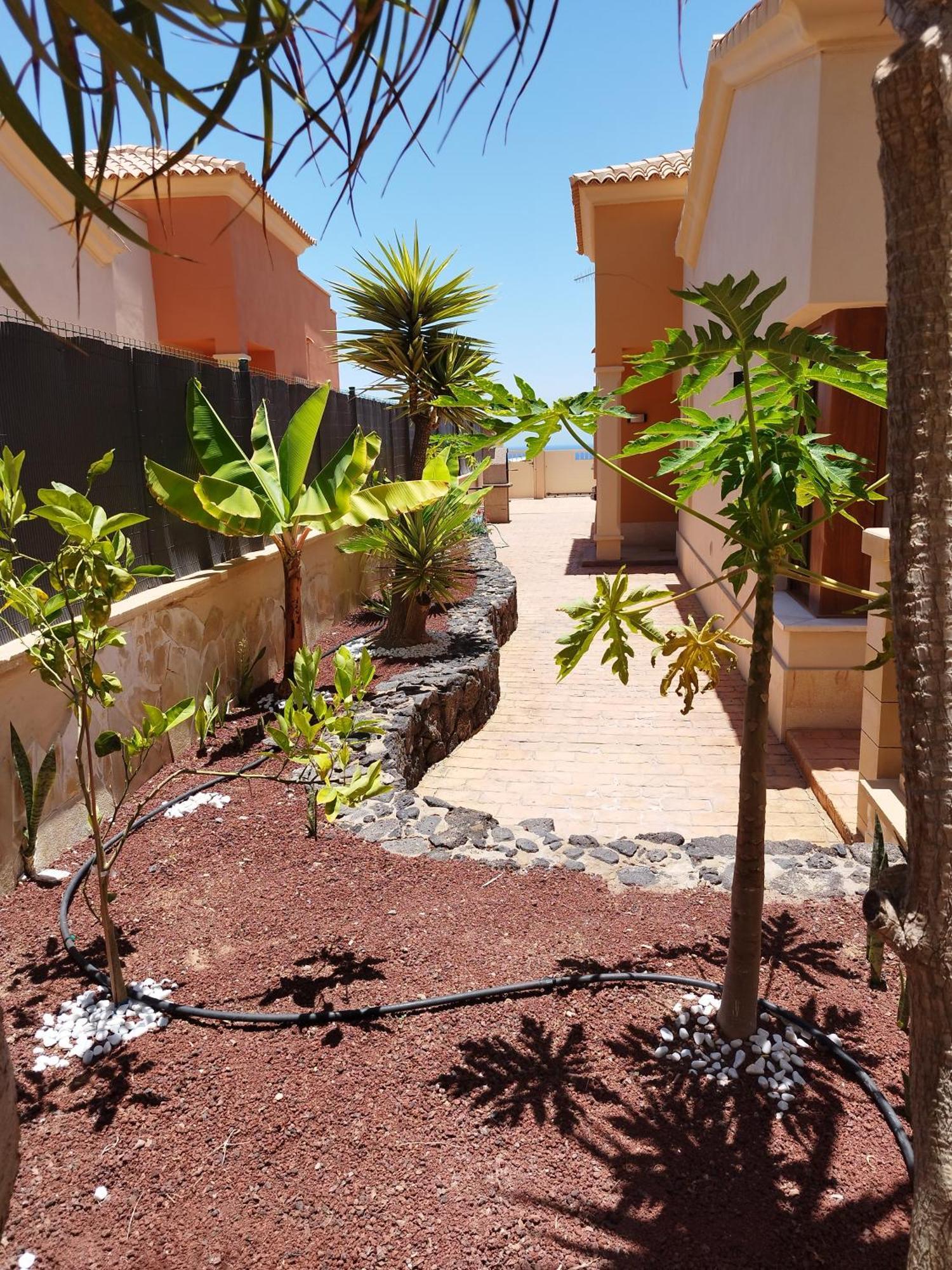 הוילה קלטה דה פוסטה Casa Lily מראה חיצוני תמונה